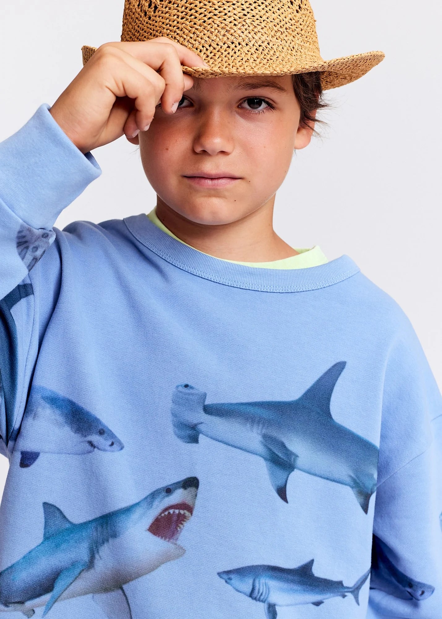 Bluza Oscar sharks